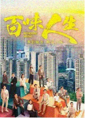 逆光而行 都市职场剧在线观看免费